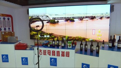 京東集團(tuán)西北區(qū)總部考察青銅峽市電子商務(wù)服務(wù)，共謀區(qū)域數(shù)字經(jīng)濟(jì)發(fā)展新篇章